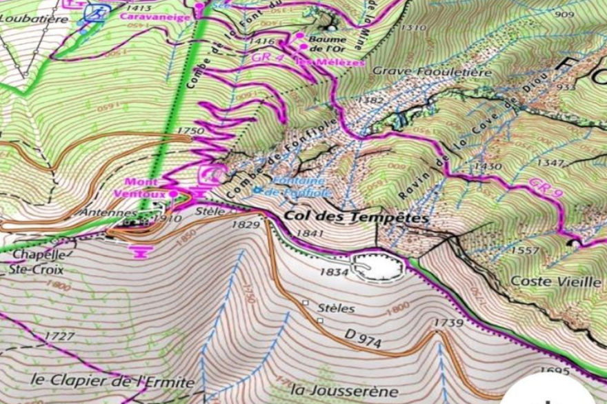 horse hay eat foot thoroughbred arabian foal